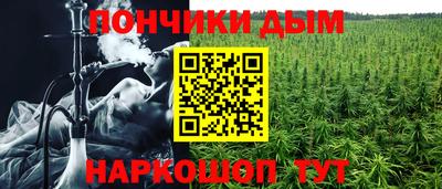 прущие грибы Кунгур