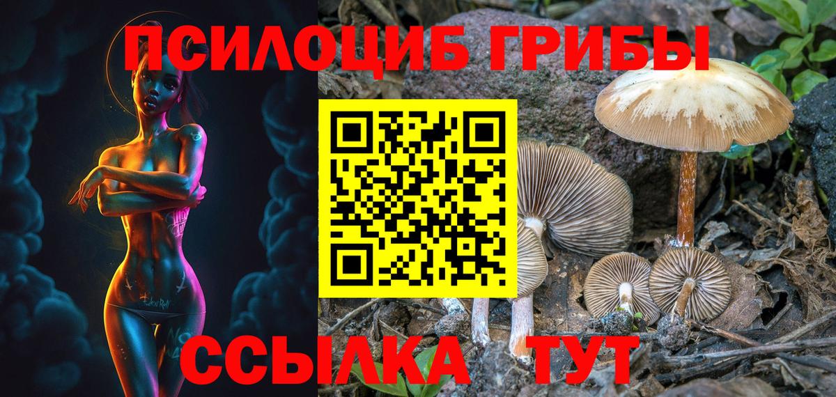 Псилоцибиновые грибы Magic Shrooms  Вход с VPN  Галлюциногенные грибы прущие грибы  Каменск-Шахтинский 